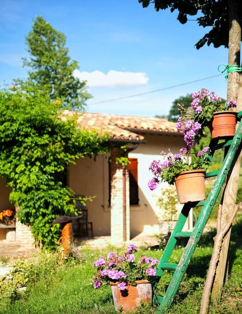 Property building, Day, Summer, Garden