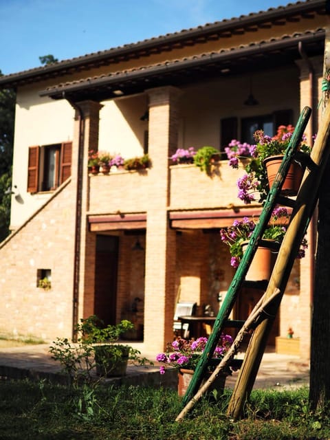 Property building, Day, Summer, Garden