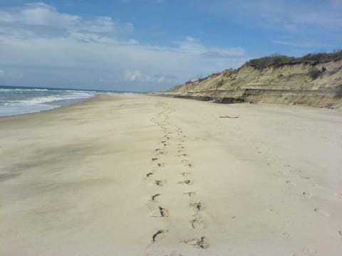 Natural landscape, Beach