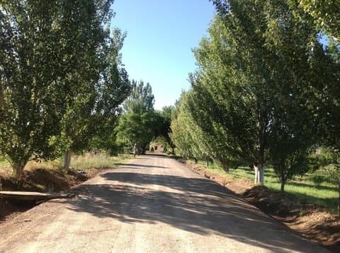 Finca el Consul House in La Rioja