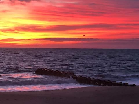 Beach, Sunrise