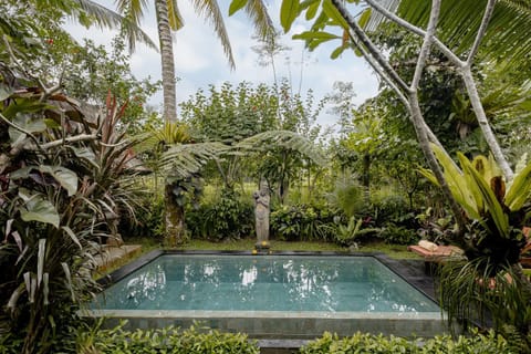 Garden view, Swimming pool