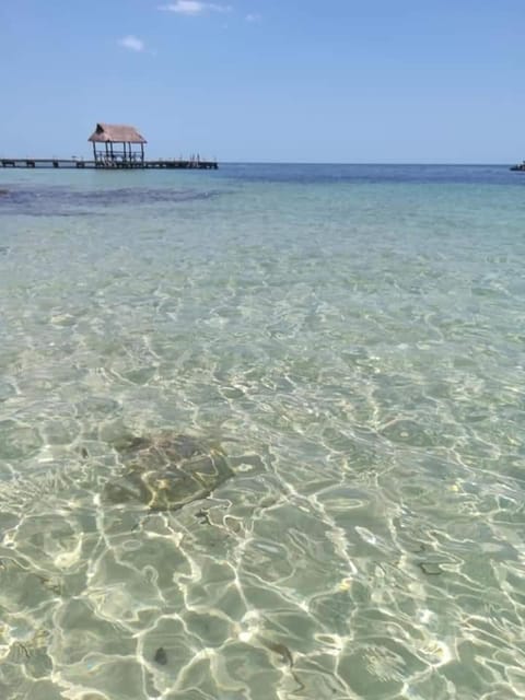 Torre Aguamarina Apartment in State of Yucatan