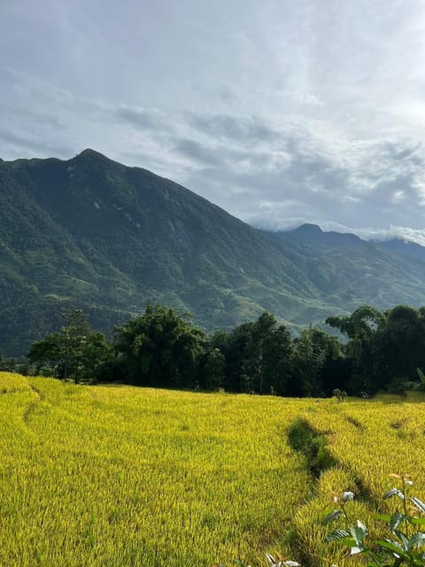 Day, Natural landscape, View (from property/room), Mountain view