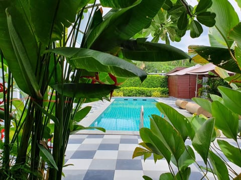 Pool view, Swimming pool