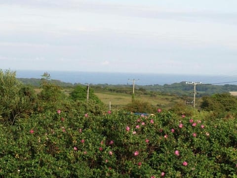 Halvosso House in England