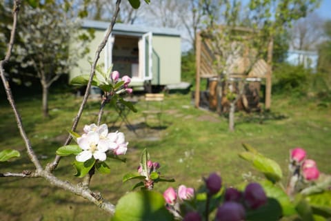 Hillcrest Hut Apartment in Wales