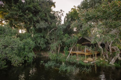 Tsowa Safari Island Luxury tent in Zimbabwe