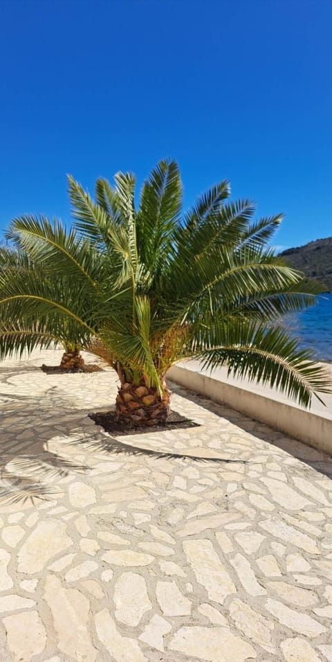 Patio, Day, Beach, Sea view