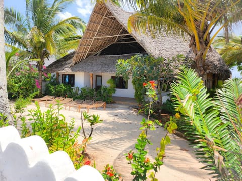 Villa NOAH BEACH ZANZIBAR Villa in Unguja North Region