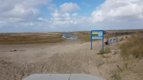 Natural landscape, Beach