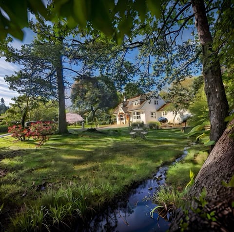 Property building, Natural landscape, Garden, Garden view