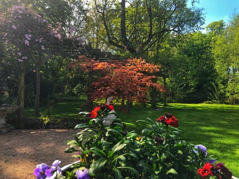 Garden, Garden view