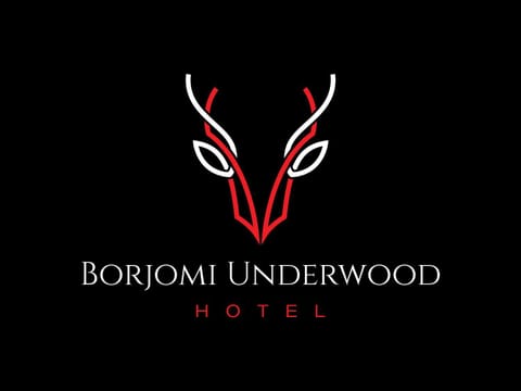 Borjomi UnderWood Hotel in Georgia