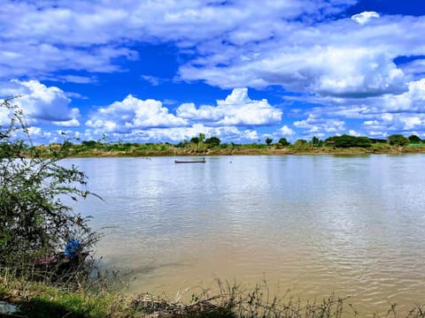 Day, Natural landscape, River view