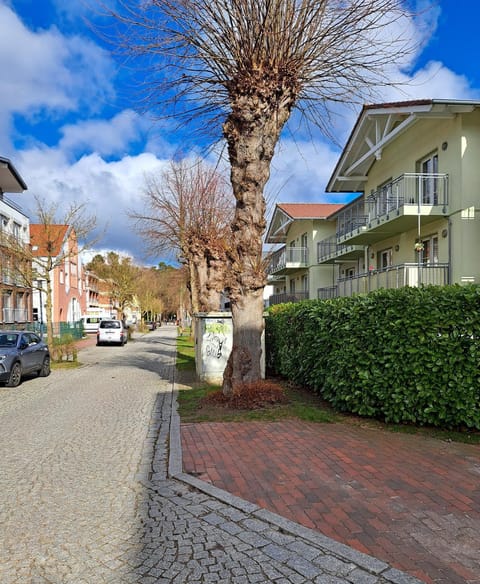 Ferienwohnung am Rhododendronpark, 300 m zum Strand Condominio in Graal-Müritz