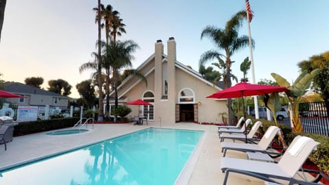 Pool view, Swimming pool