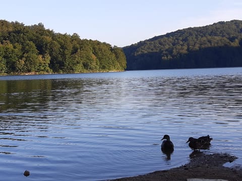 Day, Natural landscape, Lake view, Mountain view, River view