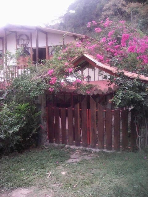 Property building, Garden view