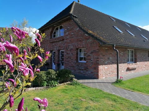 Boddenhus auf Rügen - Ferienwohnungen und Pension Condo in Denmark