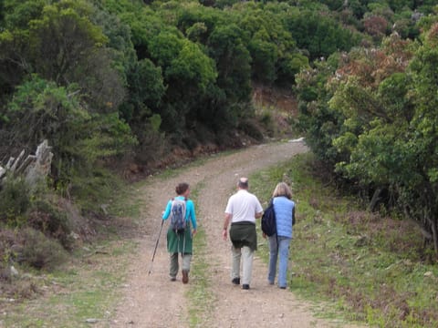 Hiking