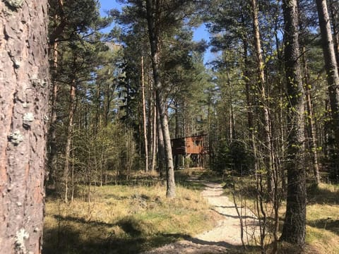 Tahkuna tree-house House in Estonia