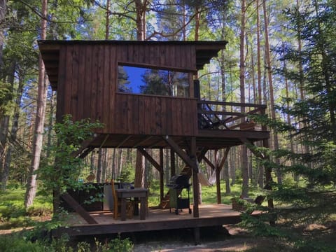 Tahkuna tree-house House in Estonia