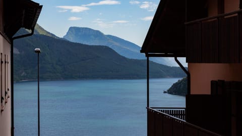 Lake view