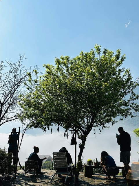 People, Natural landscape, group of guests