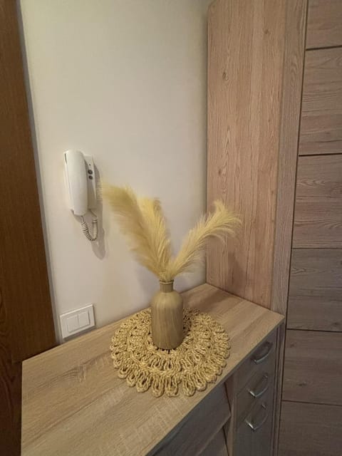 1 room apartment in Statybininku pr. Apartment in Klaipėda