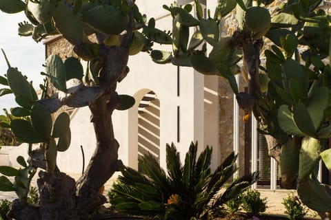 Property building, Facade/entrance, Garden, View (from property/room), Landmark view