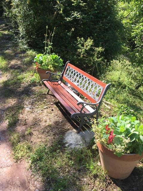 Patio, Garden