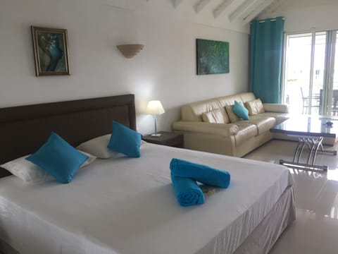 Studio de Luxe TIARE Orient Bay Citerne Condo in Saint Martin