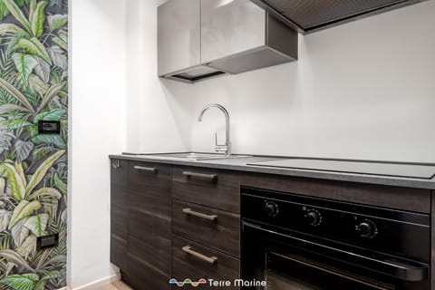 Suite 14, Terre Marine Apartment in Monterosso al Mare