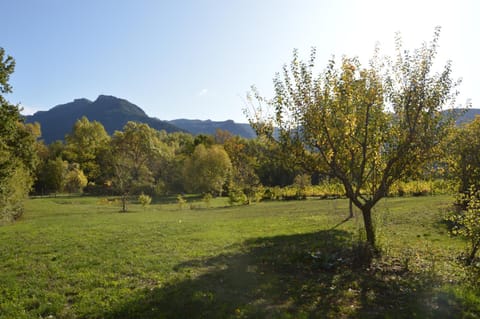 View (from property/room)