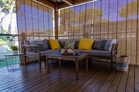 Patio, Balcony/Terrace, Balcony/Terrace, Living room