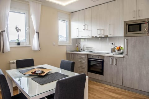 SkyNet Apartments Condo in Zlatibor