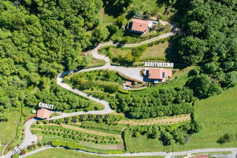 Bird's eye view, View (from property/room), Garden view