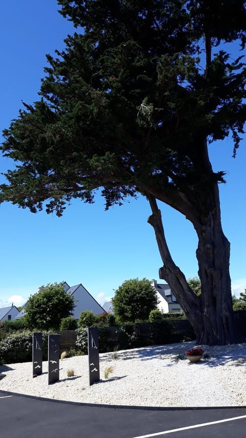 Auprès de mon arbre Bed and Breakfast in Brittany