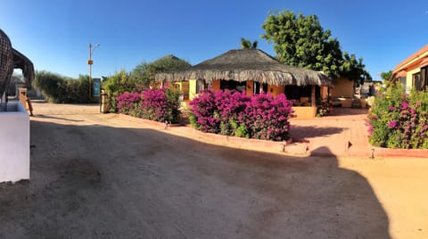 Bungalows Cabo Pulmo Campground/ 
RV Resort in State of Sinaloa