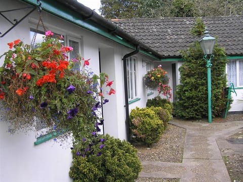 The Willow House Posada in Breckland District