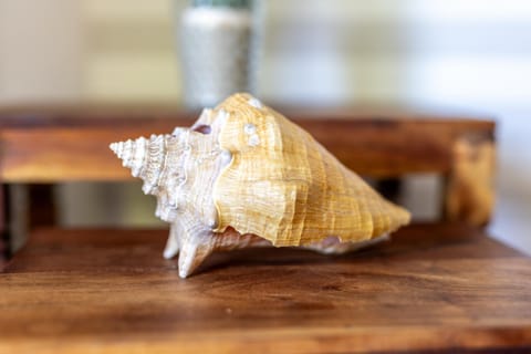 Strandstraße 2 Treibgut Apartment in Laboe