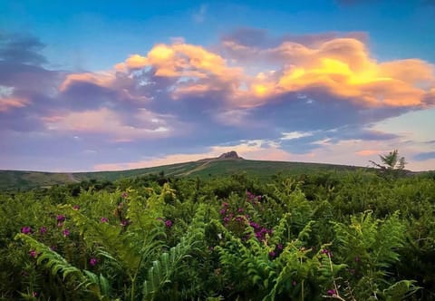 Nearby landmark, Day, Neighbourhood, Natural landscape, Summer, Mountain view
