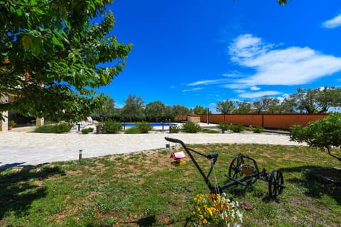 Patio, Garden, Garden view