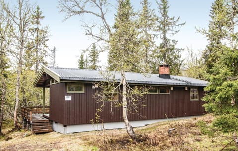 2 Bedroom Beautiful Home In Trysil House in Innlandet