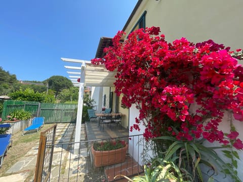 Property building, Garden, Garden view