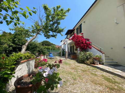 Property building, Garden view