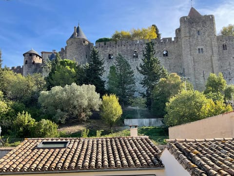 Face à la Cité une vue SUBLIME Eigentumswohnung in Carcassonne