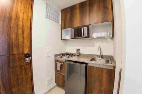 Kitchen or kitchenette, minibar, oven