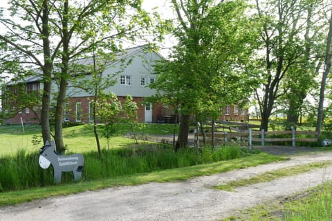 Patio, Garden